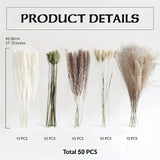 NNETM Real Touch Dried Flower Set - 50pcs Artificial Rabbit Tail Reed Set (90cm)