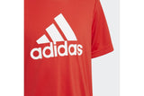 NNEKG Boys Designed 2 Move Big Logo T Shirt (Vivid Red White Size 11 12Y)