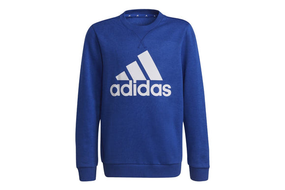 NNEKG Boys Core Sport Inspired Big Logo Sweatshirt (Bold Blue White Size 15 16Y)