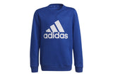 NNEKG Boys Core Sport Inspired Big Logo Sweatshirt (Bold Blue White Size 15 16Y)