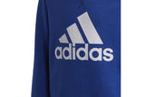 NNEKG Boys Core Sport Inspired Big Logo Sweatshirt (Bold Blue White Size 15 16Y)