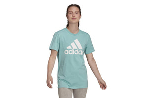 NNEKG Womens Big Logo Boyfriend T Shirt (Mint Ton White Size XS)