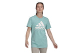 NNEKG Womens Big Logo Boyfriend T Shirt (Mint Ton White Size M)