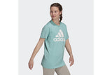 NNEKG Womens Big Logo Boyfriend T Shirt (Mint Ton White Size M)