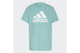 NNEKG Womens Big Logo Boyfriend T Shirt (Mint Ton White Size M)