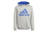 NNEKG Boys Core Sport Inspired Big Logo Hoodie (Medium Grey Heather Bold Blue Size 8 9Y)