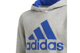 NNEKG Boys Core Sport Inspired Big Logo Hoodie (Medium Grey Heather Bold Blue Size 8 9Y)