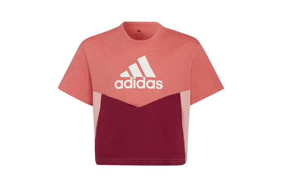 NNEKG Girls Colourblock Essentials Tee (Legacy Burgundy White Size 11 12Y)