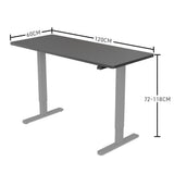 NNEMB Sit Stand Standing Desk-120x60cm-72-118cm Height Adjustable-70kg Load-Black/Silver Frame