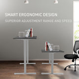 NNEMB Sit To Stand Up Standing Desk-140x60cm-72-118cm Electric Height Adjustable-70kg Load-Black/Silver Frame
