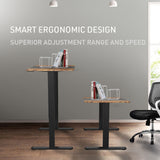 NNEMB Sit To Stand Up Standing Desk-120x60cm-72-118cm Electric Height Adjustable-70kg Rated-Oak Style/Black Frame