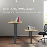 NNEMB Sit To Stand Up Standing Desk-120x60cm-72-118cm Electric Height Adjustable-70kg Load-White Oak Style/Black Frame