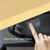 NNEMB Sit To Stand Up Standing Desk-120x60cm-72-118cm Electric Height Adjustable-70kg Load-White Oak Style/Black Frame