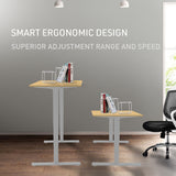 NNEMB Sit To Stand Up Standing Desk-120x60cm-72-118cm Electric Height Adjustable-70kg Load-White Oak Style/Silver Frame