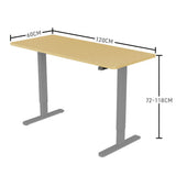 NNEMB Sit To Stand Up Standing Desk-120x60cm-72-118cm Electric Height Adjustable-70kg Load-White Oak Style/Silver Frame