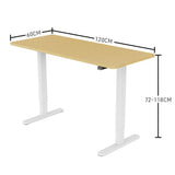 NNEMB Sit To Stand Up Standing Desk-120x60cm-72-118cm Electric Height Adjustable-70kg Load-White Oak Style/White Frame