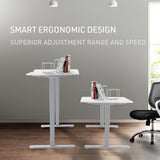 NNEMB Sit To Stand Up Standing Desk-120x60cm-72-118cm Electric Height Adjustable-70kg Load-Light Oak Style/White Frame
