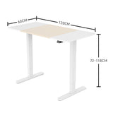 NNEMB Sit To Stand Up Standing Desk-120x60cm-72-118cm Electric Height Adjustable-70kg Load-Light Oak Style/White Frame