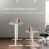 NNEMB Sit To Stand Up Standing Desk-140x60cm-72-118cm Electric Height Adjustable-70kg Load-White Oak Style/White Frame