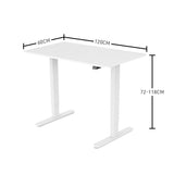 NNEMB Sit To Stand Up Standing Desk-120x60cm-72-118cm Electric Height Adjustable-70kg Rated-White/White Frame