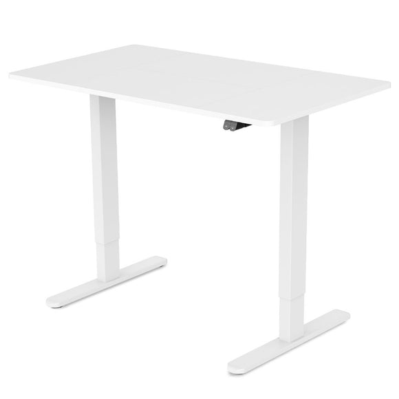 NNEMB Sit To Stand Up Standing Desk-120x60cm-72-118cm Electric Height Adjustable-70kg Rated-White/White Frame
