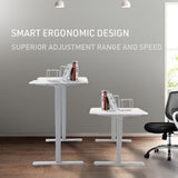NNEMB Sit To Stand Up Standing Desk-120x60cm-72-118cm Electric Height Adjustable-70kg Rated-White/White Frame