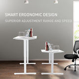 NNEMB Sit To Stand Up Standing Desk-140x60cm-72-118cm Electric Height Adjustable-70kg Load-White/White Frame