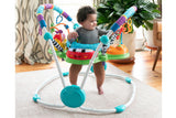 NNEKG Baby Einstein Neighborhood Friends Activity Jumper