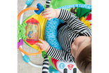 NNEKG Baby Einstein Neighborhood Friends Activity Jumper