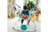 NNEKG Baby Einstein Neighborhood Friends Activity Jumper