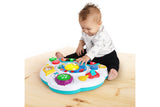 NNEKG Baby Einstein Discovering Music Activity Table