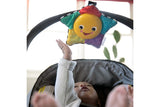 NNEKG Baby Einstein Star Bright Symphony Take Along Toy