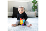NNEKG Baby Einstein Star Bright Symphony Take Along Toy