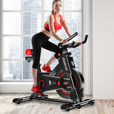 NNEDPE Powertrain IS-500 Heavy-Duty Exercise Spin Bike Electroplated - Black