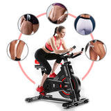 NNEDPE Powertrain IS-500 Heavy-Duty Exercise Spin Bike Electroplated - Black