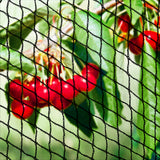 NNEDSZ 5 x 10m Anti Bird Net Netting - Black