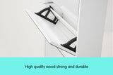 NNEDPE Mirrored Shoe Storage Cabinet Organizer- 170 x 63 x 17cm