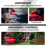 NNEMB Whipper Snipper and Leaf Blower Combo Kit-with 20V SYNC Battery and Charger