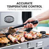 NNEMB Portable Gas BBQ with Stainless Steel Grill and a Reversible Cast Iron Plate