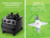 NNEMB 2L Commercial Blender Mixer Food Processor Smoothie Ice Crush Black