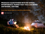 NNEMB Dual Input D250SE Charger + 2000W/4000W 12v/240v Pure Sine Wave Power Inverter Bundle
