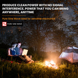 NNEMB D250SE DC/DC 20A Dual Battery Charger System + Pure Sine Wave 2500W/5000W Power Inverter Bundle