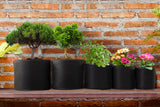 NNEKGE Fabric Pot Plant Grow Bags (10 Gallon 10 Pack)