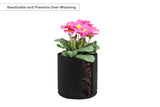 NNEKG Fabric Pot Plant Grow Bags (2 Gallon 10 Pack)