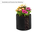 NNEKG Fabric Pot Plant Grow Bags (3 Gallon 10 Pack)