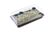NNEKGE Seed Propagation Tray 72 Cells (25 x 52cm)