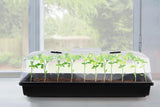 NNEKGE Seed Propagation Tray 72 Cells (25 x 52cm)