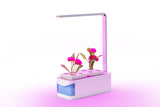 NNEKG Self Watering Pot Plant with LED Grow Light