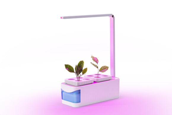 NNEKG Self Watering Pot Plant with LED Grow Light