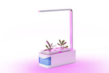 NNEKG Self Watering Pot Plant with LED Grow Light